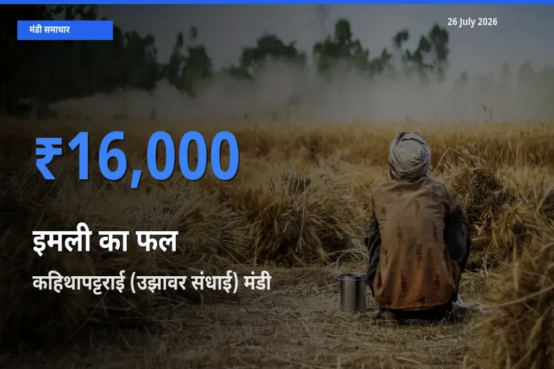 बाज़ार संकेत: कहिथापट्टराई (उझावर संधाई) बना इमली का फल के लिए आज की टॉप मंडी