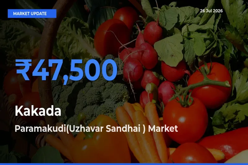 Kakada Mandi Rate Today: Paramakudi(Uzhavar Sandhai ) Tops the List