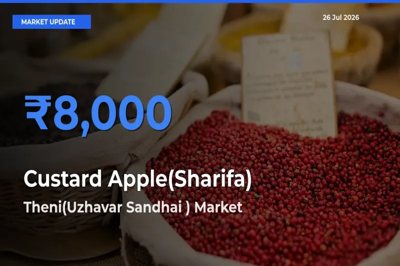 Theni(Uzhavar Sandhai ) Offers ₹8,000 – Highest Custard Apple(Sharifa) Rate Today