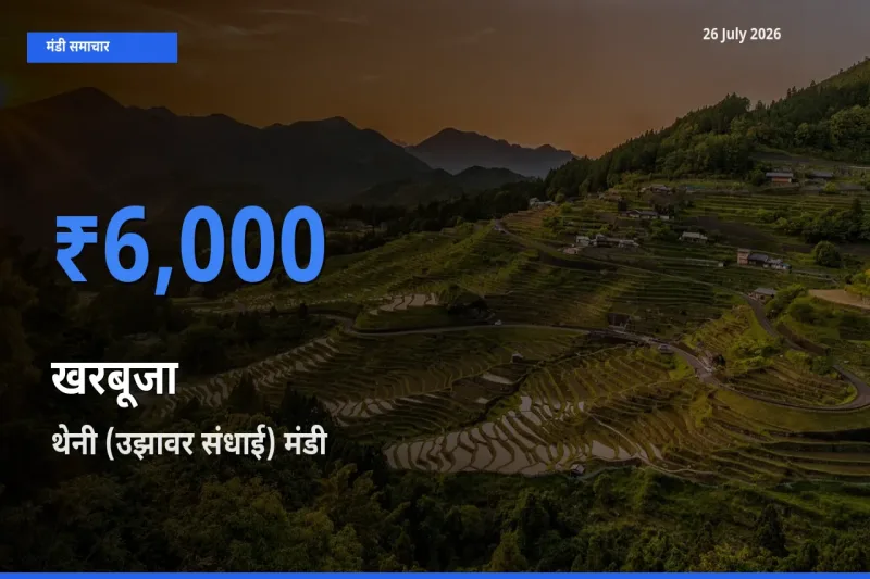 थेनी (उझावर संधाई) मंडी में आज खरबूजा के सबसे ऊँचे दाम दर्ज