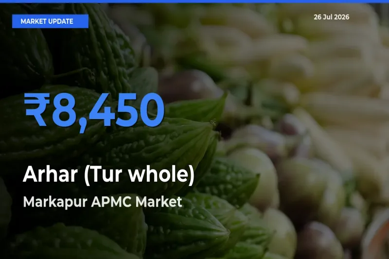 Market Watch: Markapur APMC Becomes Top Mandi for Arhar (Tur whole)
