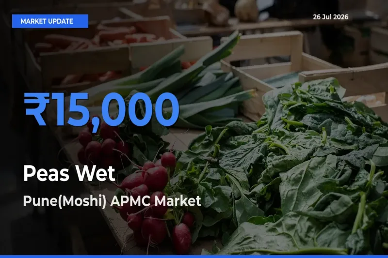 Market Watch: Pune(Moshi) APMC Becomes Top Mandi for Peas Wet