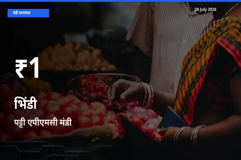 पट्टी एपीएमसी में भिंडी ₹1 पर गिरा – 30 दिन का न्यूनतम भाव