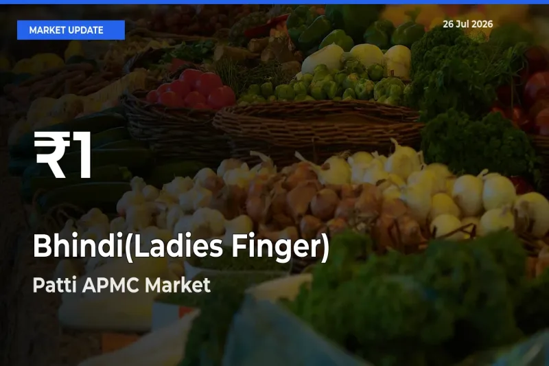 Bhindi(Ladies Finger) Prices Touch 30-Day Low in Patti APMC – July 26 Update