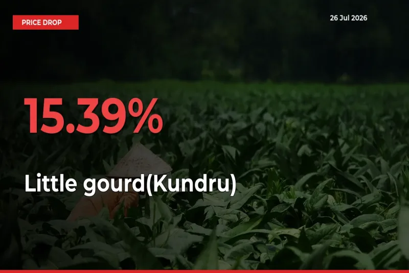 Sudden Shock! Little gourd(Kundru) Drops 15.39% in 24 Hours at Top Mandis