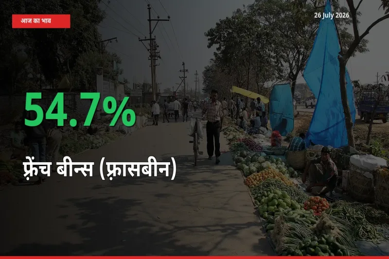 बाज़ार संकेत: फ़्रेंच बीन्स (फ़्रासबीन) के भाव मंडी में 54.7% ऊपर