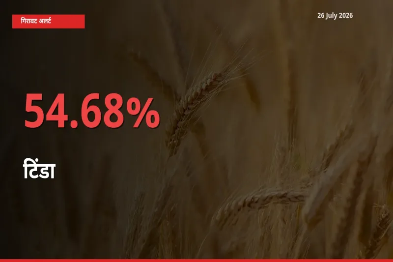 टिंडा के दाम प्रमुख मंडी में 54.68% गिरे, 24 घंटे में बड़ा बदलाव