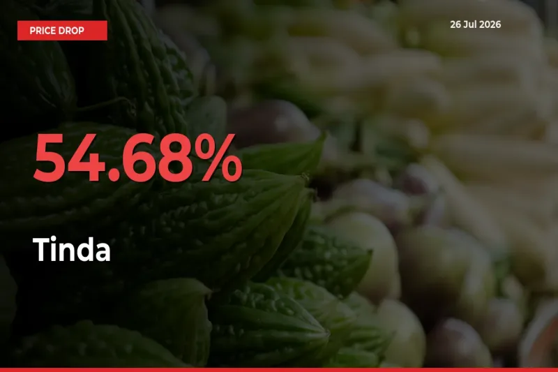 Tinda Prices Drop 54.68% – July 26 Market Update from Mandis