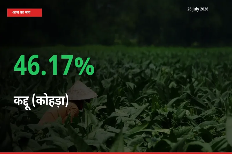 कद्दू (कोहड़ा) 46.17% उछला, मंडी