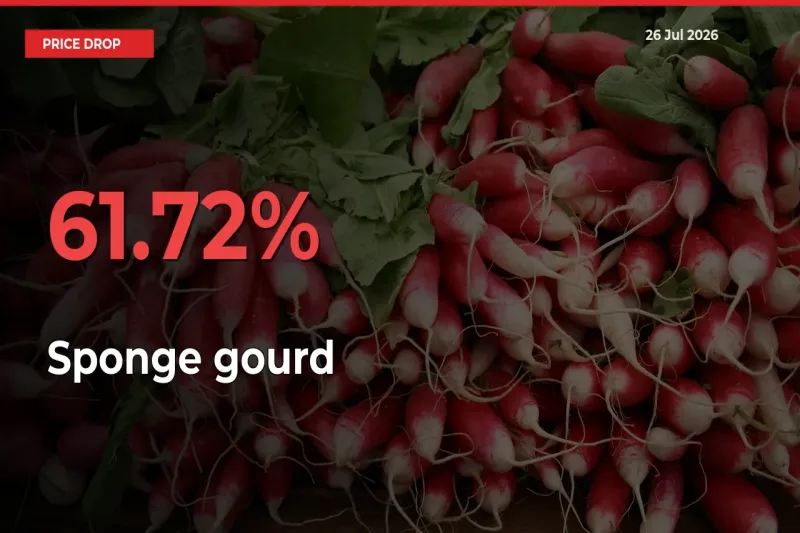 This Mandi Records 61.72% Fall in Sponge gourd Prices