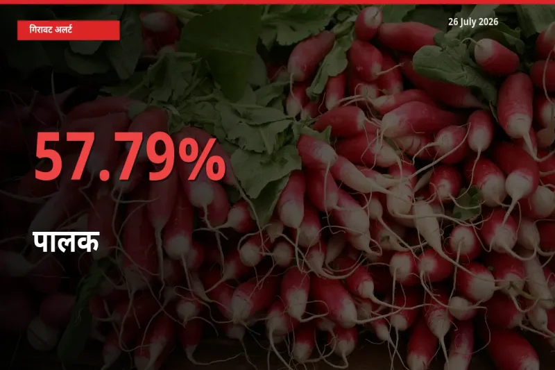 आज का मंडी भाव: पालक के दाम मंडी में 57.79% नीचे