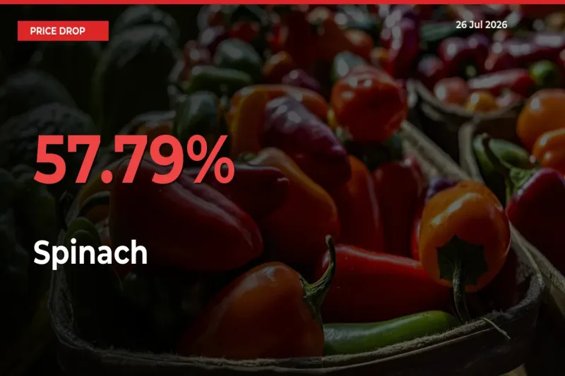This Mandi Records 57.79% Fall in Spinach Prices