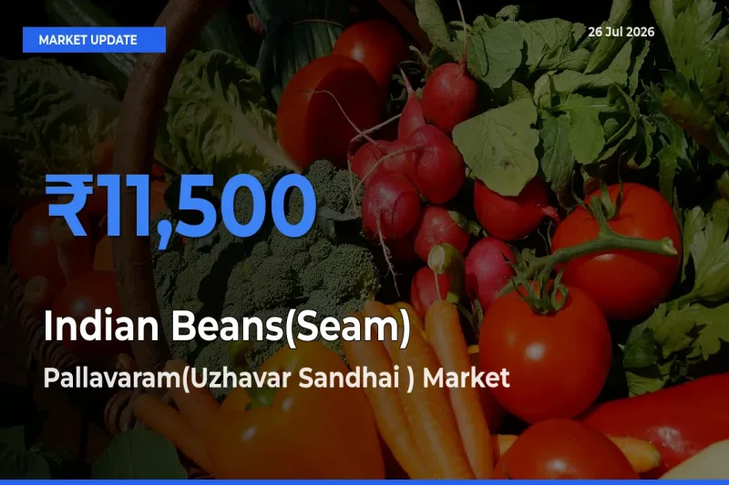 Pallavaram(Uzhavar Sandhai ) Tops Indian Beans(Seam) Rates – July 26 Market Update