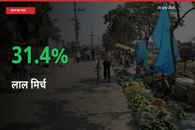 स्थानीय मंडी में लाल मिर्च के दाम अचानक 31.4% उछले, किसान सतर्क