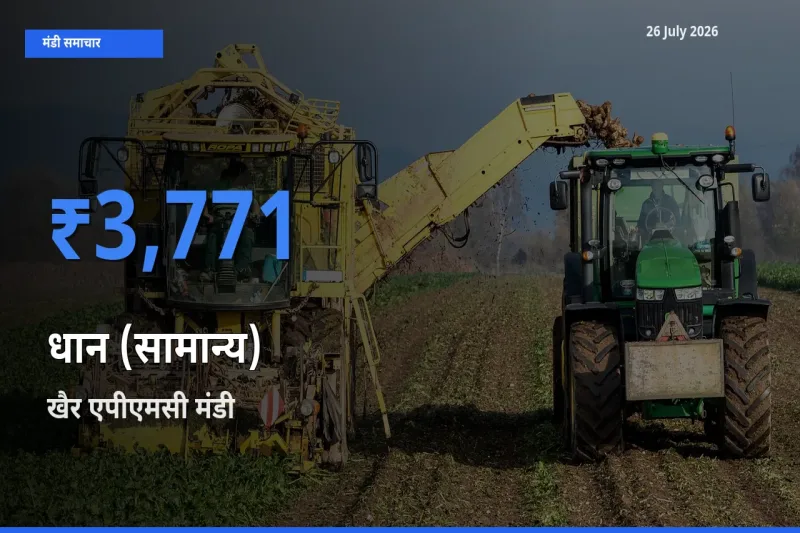 बाज़ार संकेत: खैर एपीएमसी बना धान (सामान्य) के लिए आज की टॉप मंडी