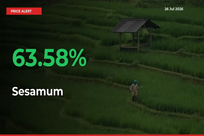 Why Sesamum Prices Rose 63.58% in a Day at Mandis