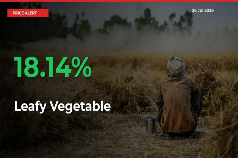This Mandi Records 18.14% Jump in Leafy Vegetable Prices