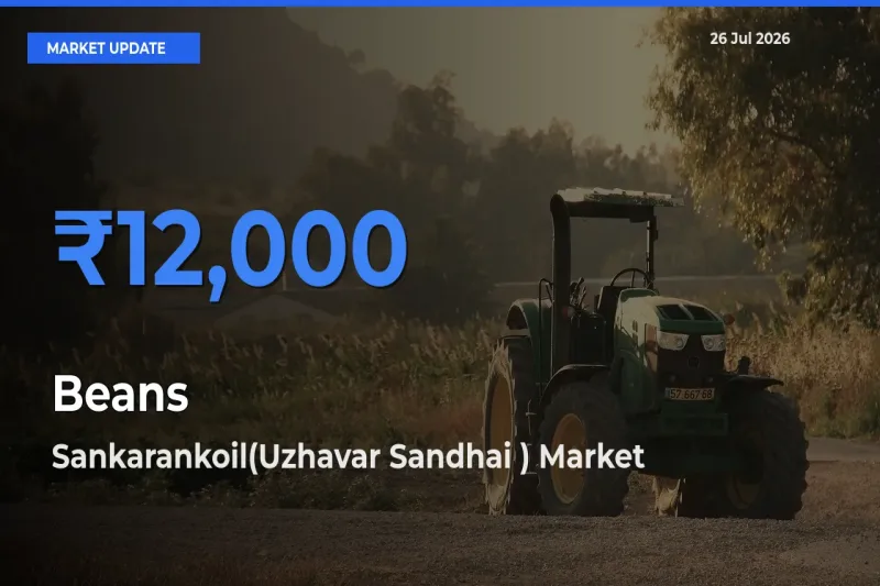 Farmers Prefer Sankarankoil(Uzhavar Sandhai ) as Beans Hits Highest Rate