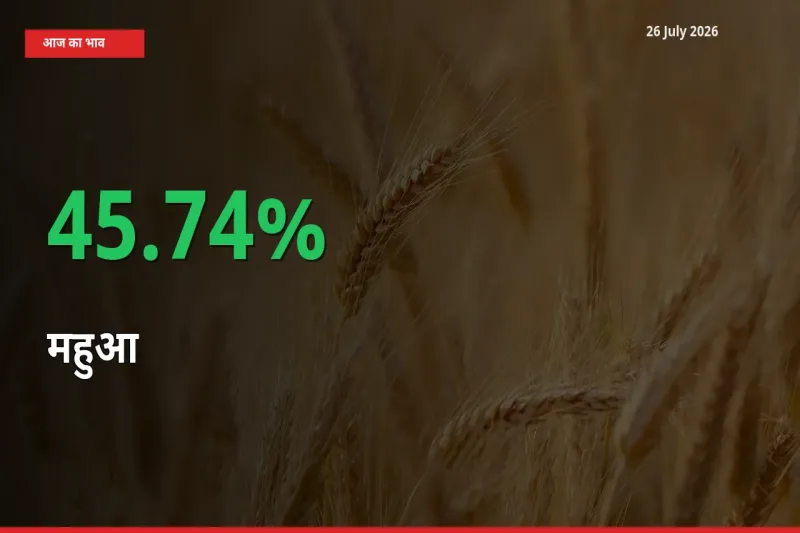 महुआ 45.74% उछला, मंडी