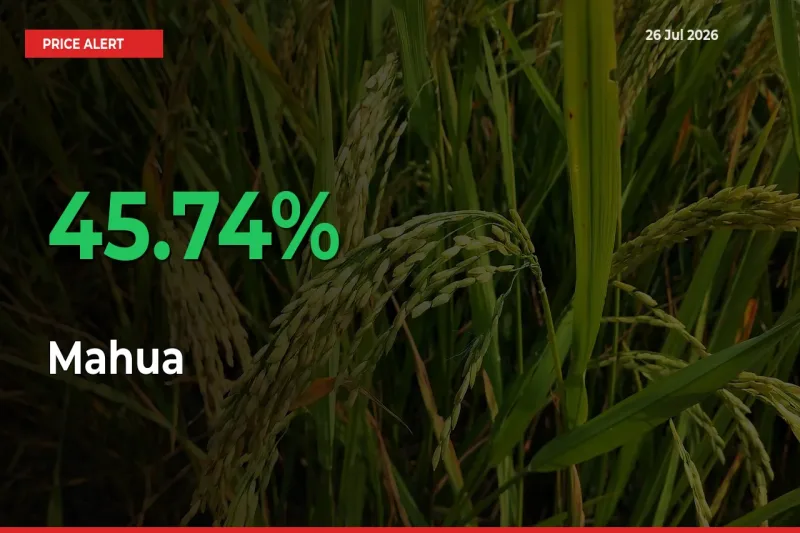 Mahua Rises 45.74% at Mandis
