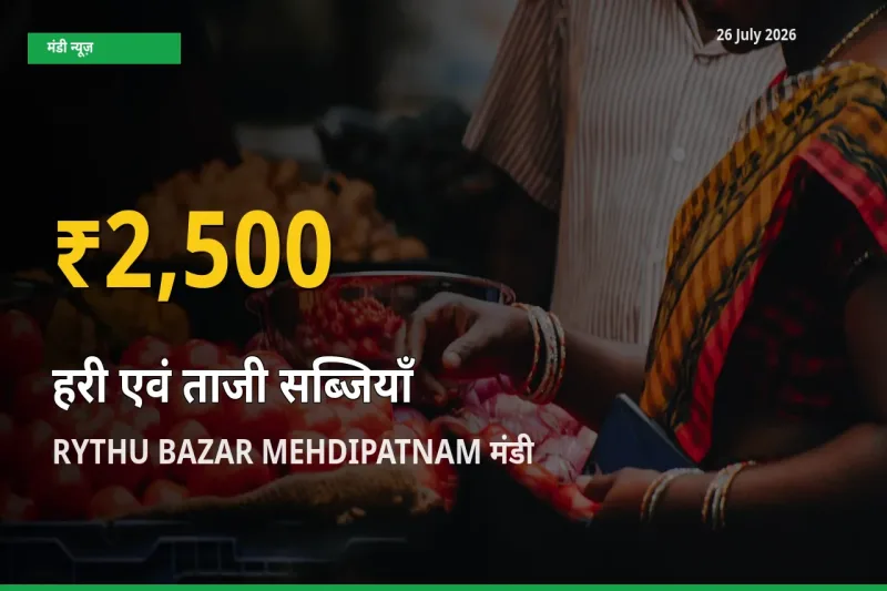 30 दिनों में सबसे ऊँचे स्तर पर हरी एवं ताजी सब्जियाँ के दाम, RYTHU BAZAR MEHDIPATNAM में उछाल