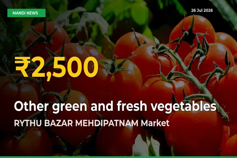 Why Other green and fresh vegetables Prices Are Climbing in RYTHU BAZAR MEHDIPATNAM – Today’s New High Explained