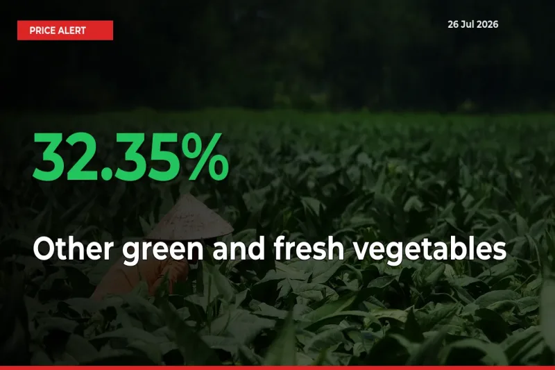 Other green and fresh vegetables Rises 32.35% at Mandis