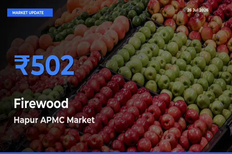 Market Watch: Hapur APMC Becomes Top Mandi for Firewood