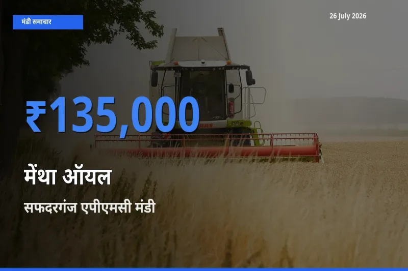 सफदरगंज एपीएमसी मंडी में आज मेंथा ऑयल के सबसे ऊँचे दाम दर्ज