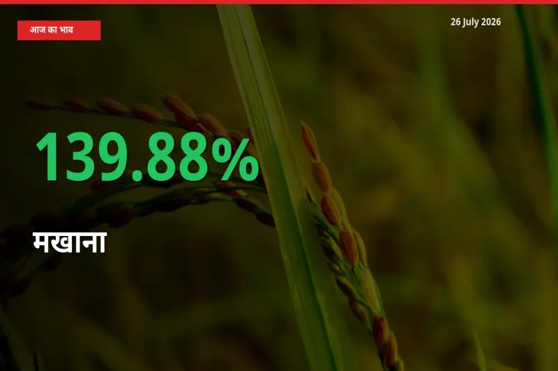 बाज़ार संकेत: मखाना के भाव मंडी में 139.88% ऊपर