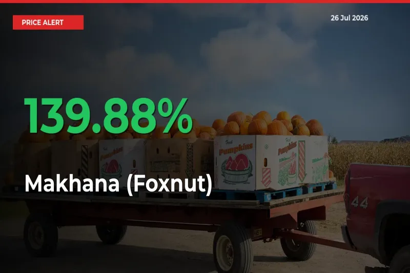Makhana (Foxnut) Prices Rise 139.88% in a Day at Major Mandis
