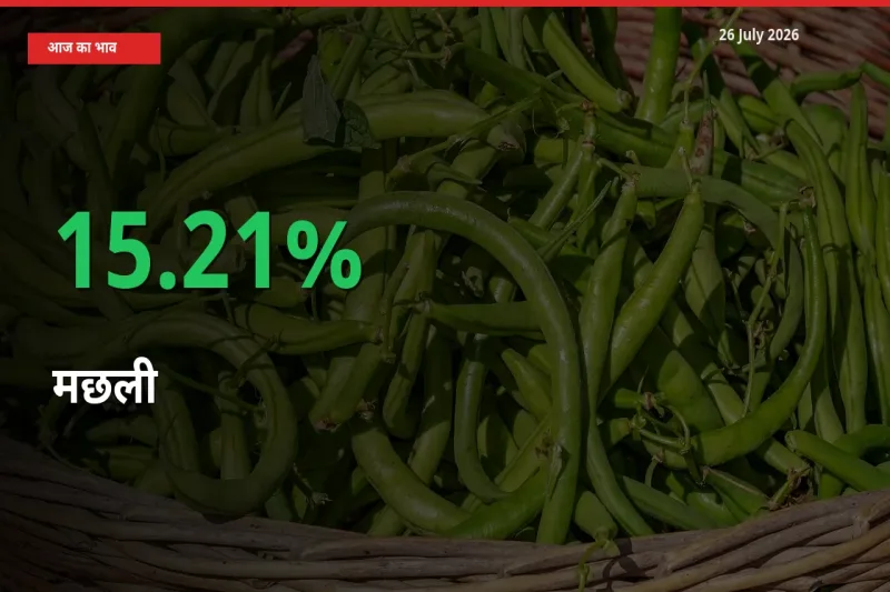 मछली 15.21% उछला, मंडी