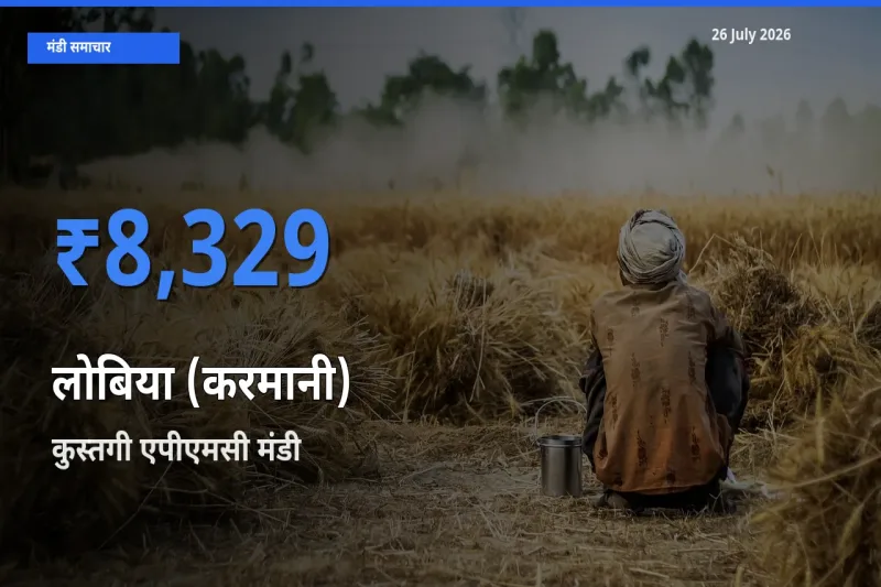 कुस्तगी एपीएमसी मंडी में आज लोबिया (करमानी) के सबसे ऊँचे दाम दर्ज