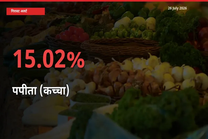 किसानों की चिंता बढ़ी! स्थानीय मंडी में पपीता (कच्चा) 15.02% गिरा