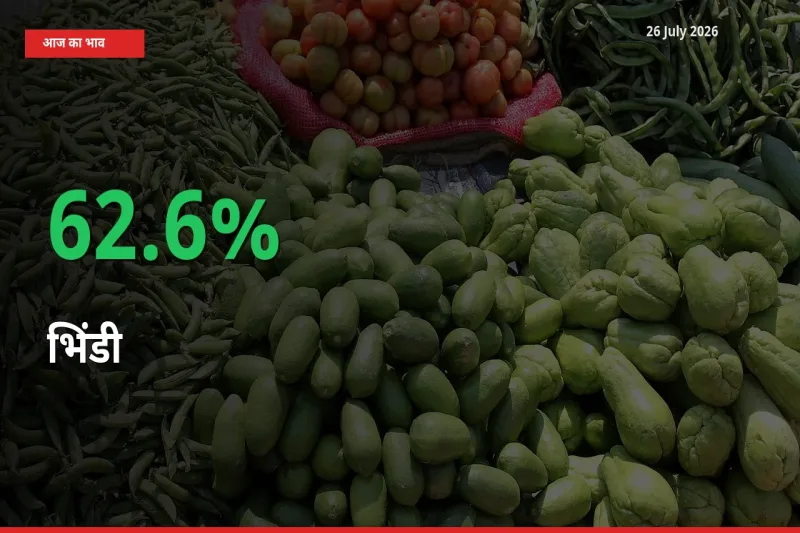 भिंडी 62.6% उछला, मंडी