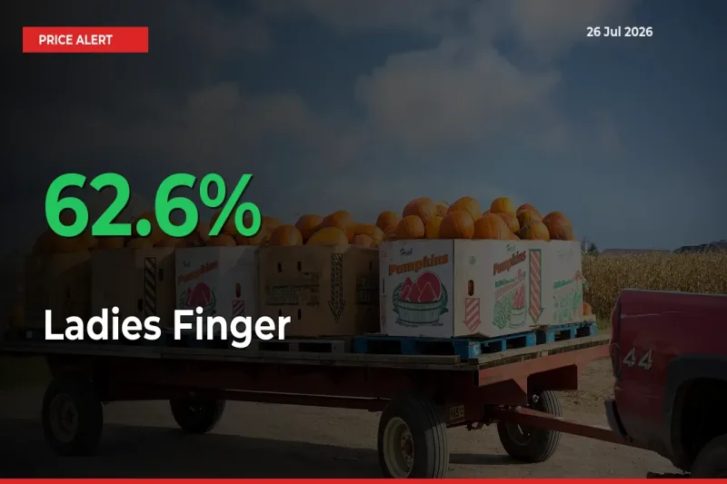 Farmers Cheer as Ladies Finger Prices Surge 62.6% in Local Mandis