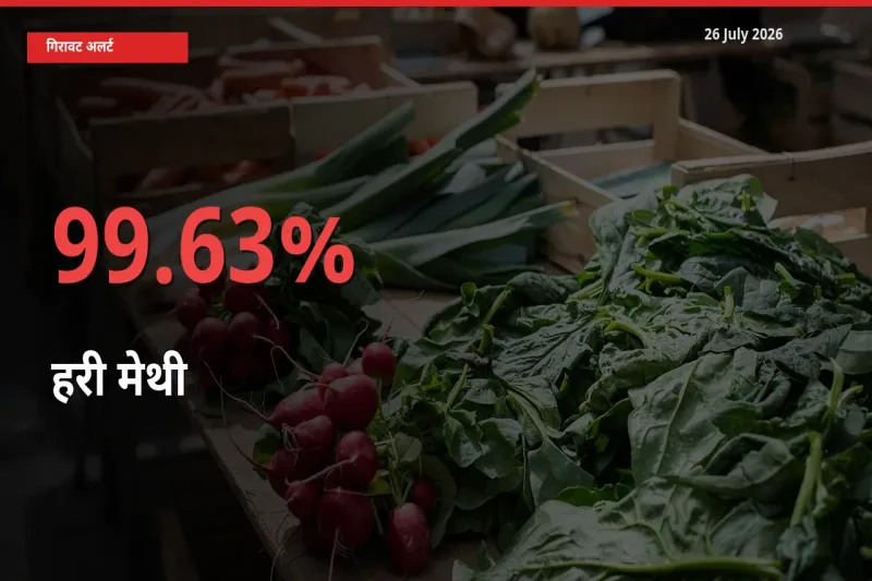 26 July अपडेट: हरी मेथी के दाम मंडी में 99.63% गिरे