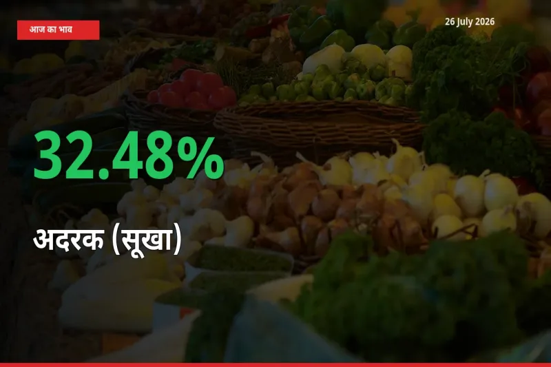 अदरक (सूखा) 32.48% उछला, मंडी