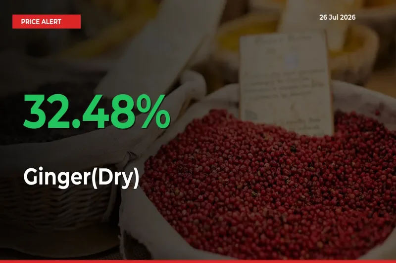 Ginger(Dry) Rises 32.48% at Mandis