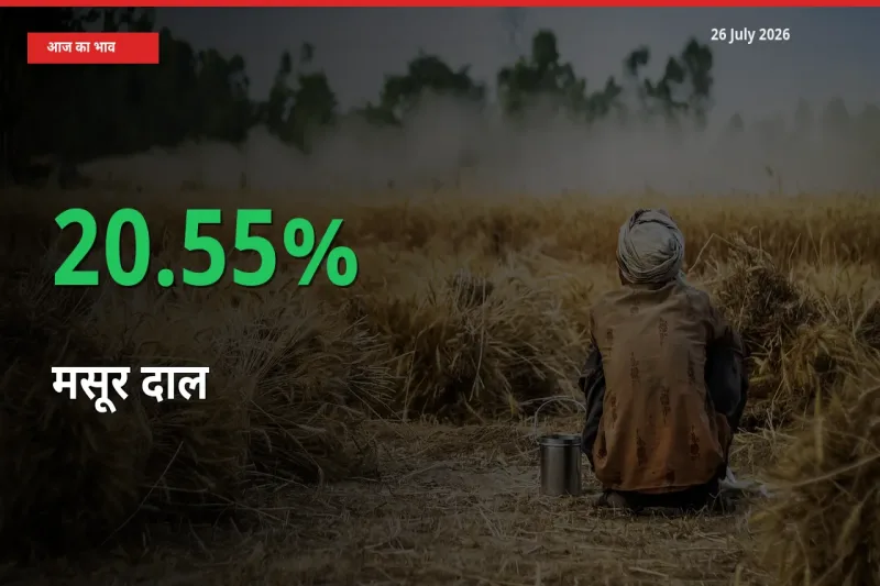 अचानक तेजी! मंडी में मसूर दाल के दाम 20.55% चढ़े