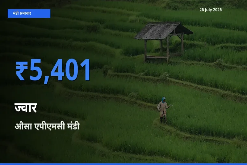 टॉप मंडी बना औसा एपीएमसी! ज्वार के सबसे ऊँचे दाम यहीं दर्ज