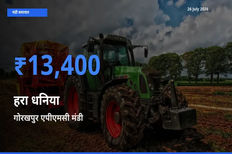 गोरखपुर एपीएमसी मंडी में हरा धनिया ₹13,400 पर पहुँचा – आज का सर्वोच्च भाव