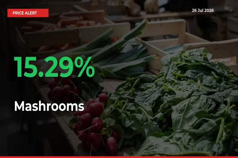 Mashrooms Mandi Rate Today: Prices Jump 15.29% at Market