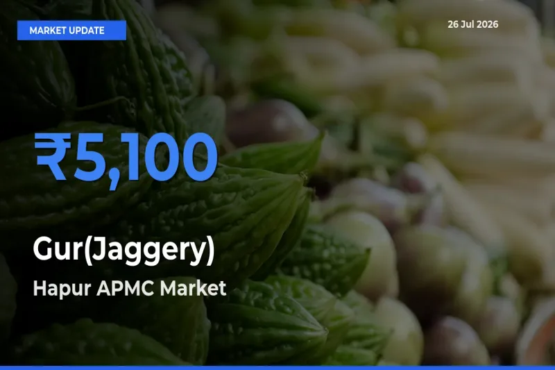 Hapur APMC Records Highest ₹5,100 Rate for Gur(Jaggery)