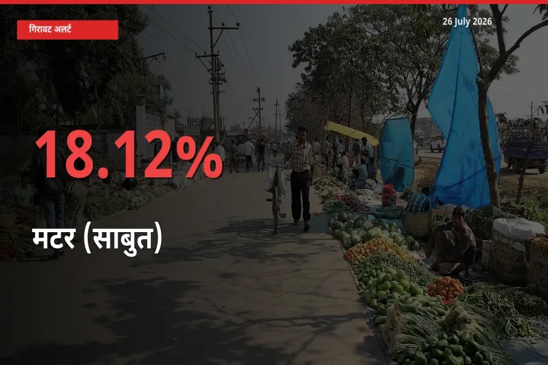 किसानों की चिंता बढ़ी! स्थानीय मंडी में मटर (साबुत) 18.12% गिरा