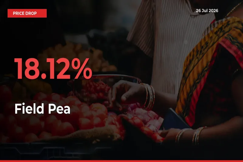 Sharp Fall! Field Pea Prices Plunge 18.12% in a Day at Key Mandis