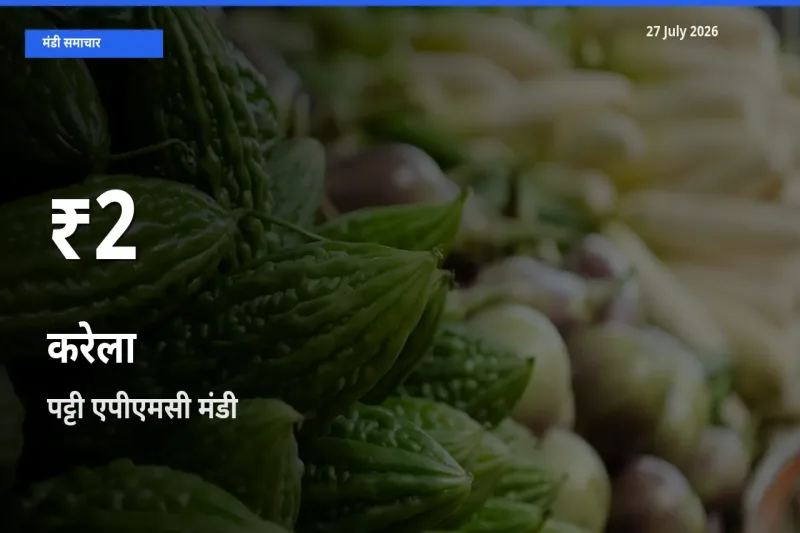 पट्टी एपीएमसी, तरनतारन, पंजाब में करेला ₹2 पर गिरा – 30 दिन का न्यूनतम भाव