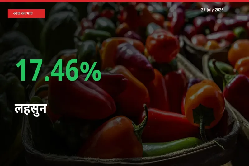 तेज़ तेजी! मंडी में लहसुन के दाम 17.46% चढ़े