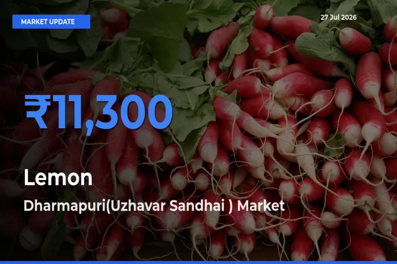 Top Performer! Dharmapuri(Uzhavar Sandhai ), Tamil Nadu Offers Best Lemon Price Today