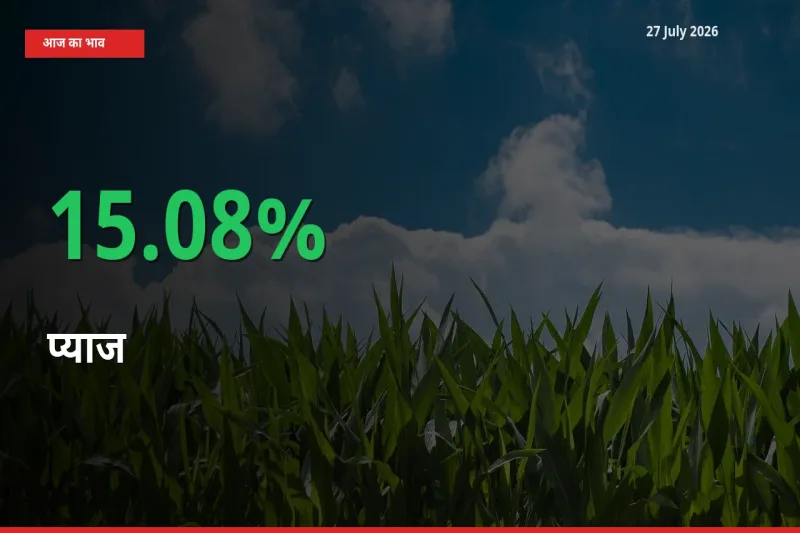 किसानों के लिए खुशखबरी! स्थानीय मंडी में प्याज 15.08% उछला